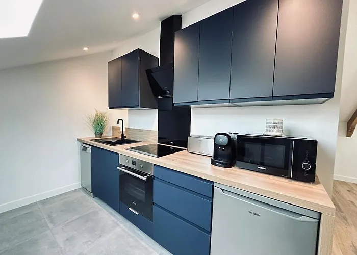 3 Vasnier Confortable Proche Caves De Champagne Апартаменты Реймс