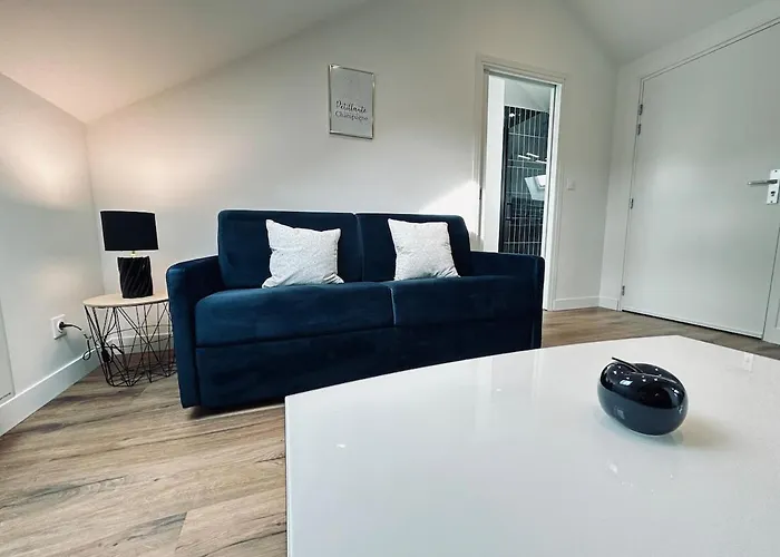 3 Vasnier Confortable Proche Caves De Champagne Апартаменты Реймс